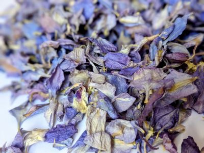 delphinium petals blue