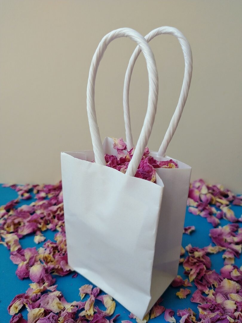 Little paper bag with handles 10 pack empty Paper Bag Small Handles