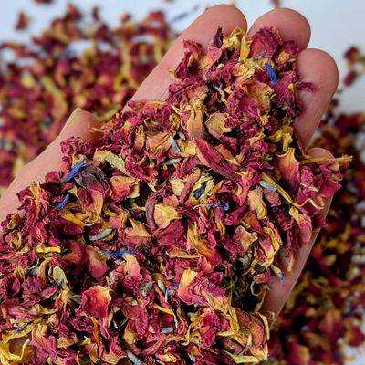 Cornflower Mix confetti with marigold wholesale wholesale confetti