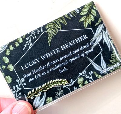 Lucky white heather flowers pressed UK pressed white heather