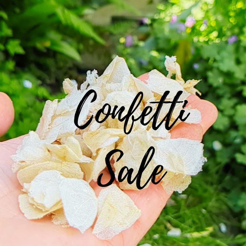 Sweety petal confetti ivory and cream wholesale BOGOF confetti sale
