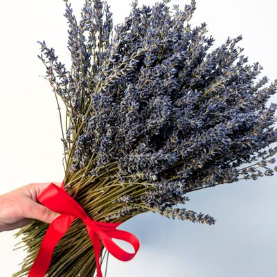 lavender sheaf red bow