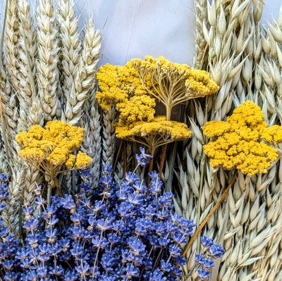 uk dried flowers offer