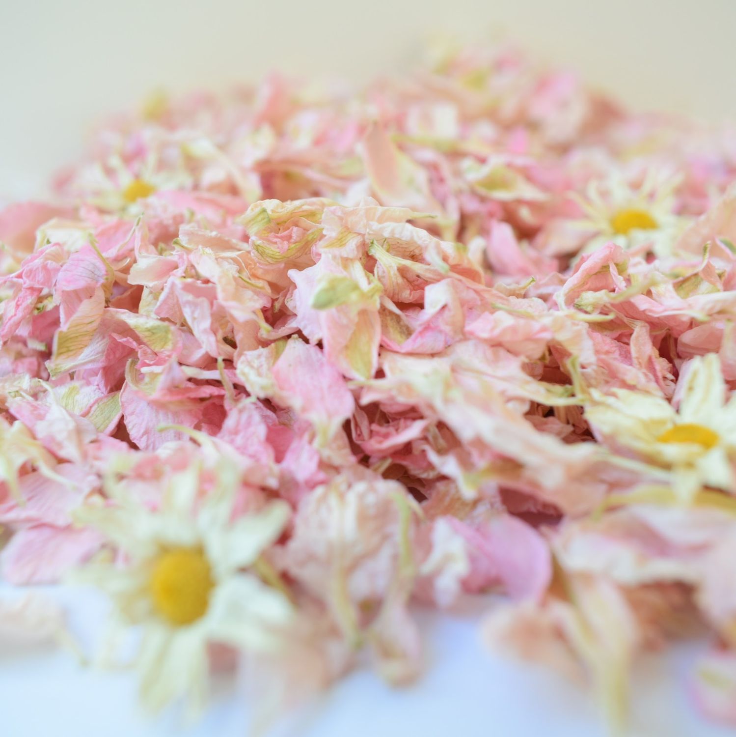 daisy confetti