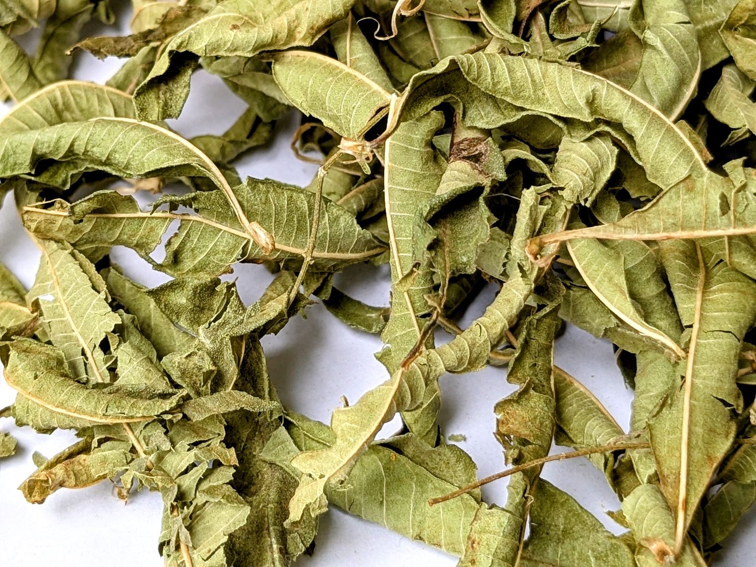 lemon verbena leaves dried