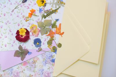 Pressed flower card kit for 3 UK pressed flower craft kit