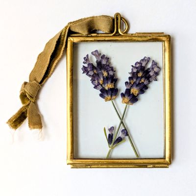Pressed flower frame Lavender small pressed lavender framed uk