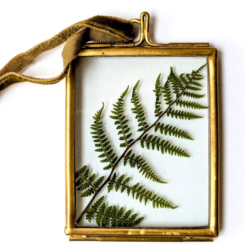 framed fern leaf uk grown