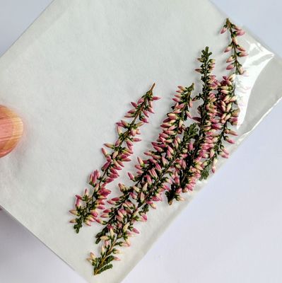 pressed heather