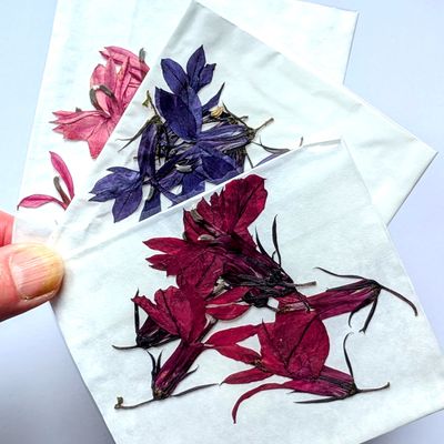 pressed lobelia