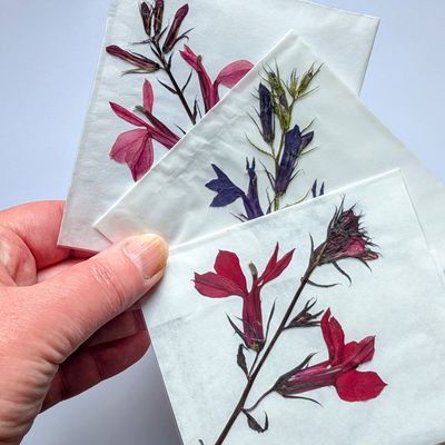 pressed lobelia stems