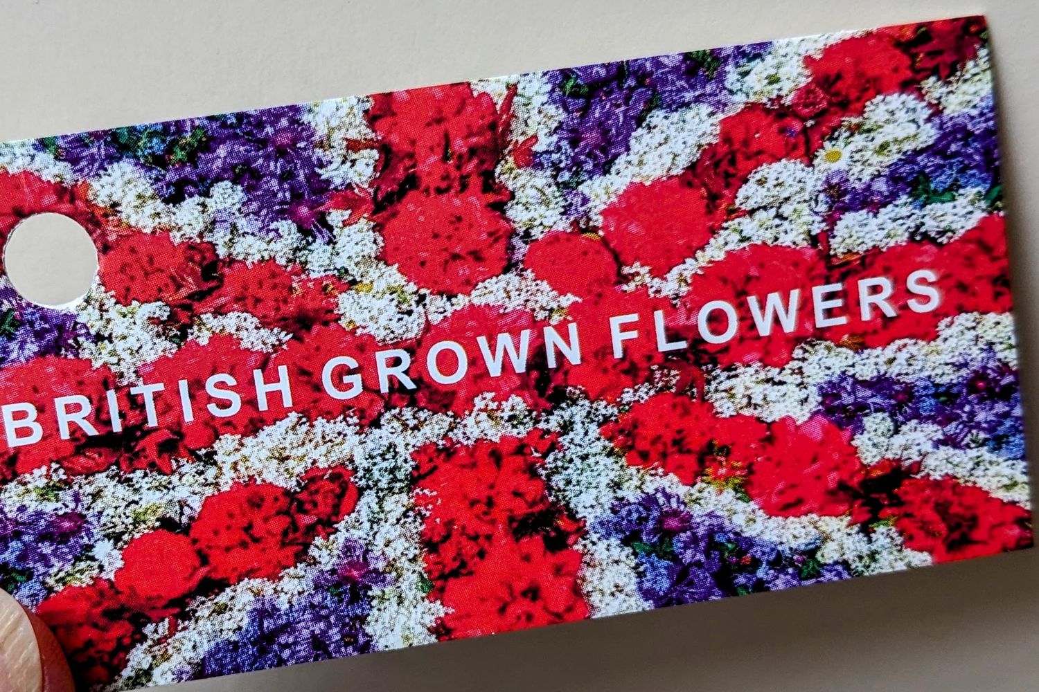 UK Dried Flowers