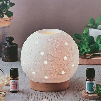 Diffusore elettrico oli essenziali Iris - Nasoterapia