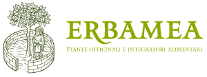 Erbamea