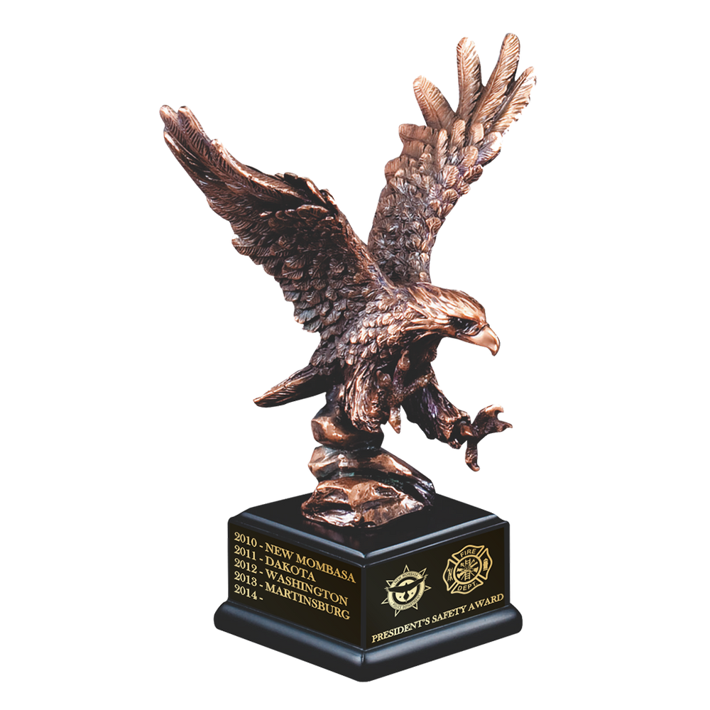 Bronze Eagle Landing