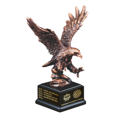 Bronze Eagle Landing