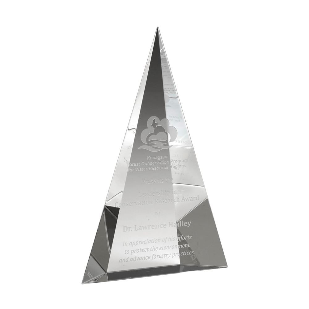 Crystal Peak Award