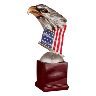 Eagle Head on Flag