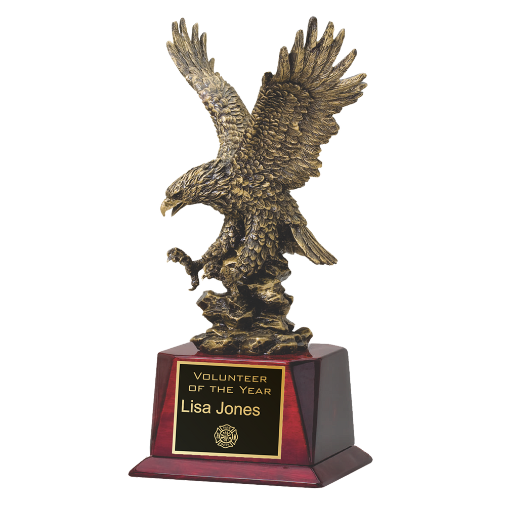 Gold Eagle In-Flight
