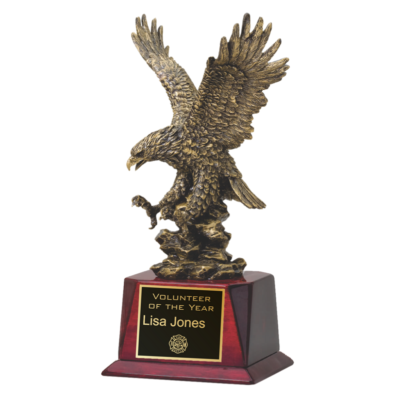 Gold Eagle In-Flight
