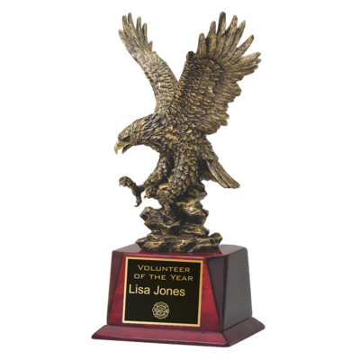 Gold Eagle In-Flight