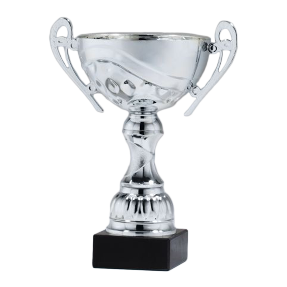 Silver Metal Cup with Plastic Stem on Black Marble Base (10")