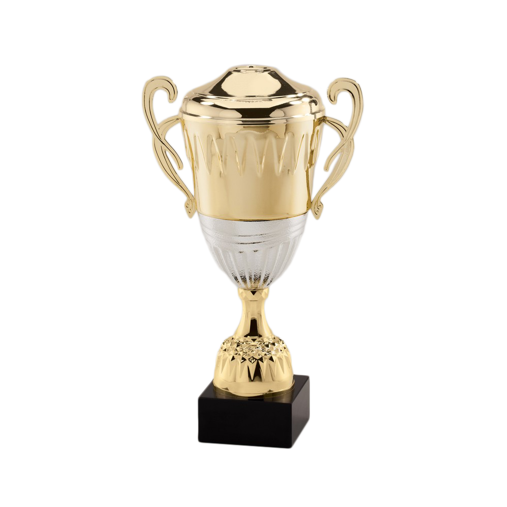 Gold and Silver Metal Trophy on Black Marble Base (14.75")