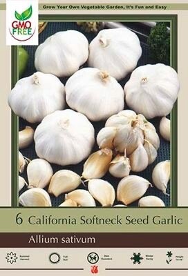 Garlic California 6pk