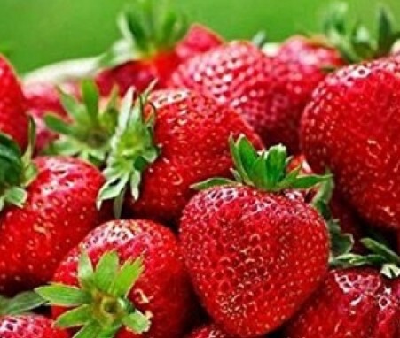 Strawberry Quinault 4"
