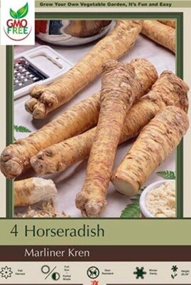 Horseradish Marliner Kren 3 PACK