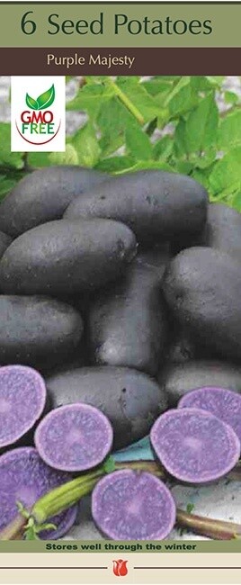 Purple Majesty ORG Potato