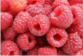 Raspberry Meeker Qt