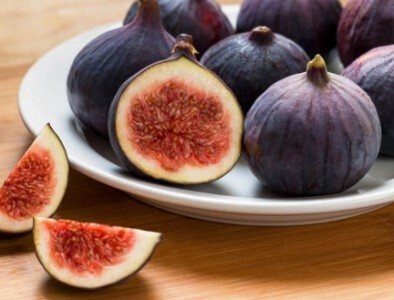 Fig Chicagp Hardy 1 gal