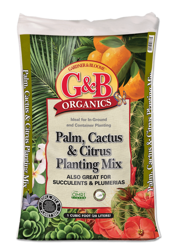 G&amp;B cactus 8qt