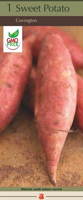 Sweet Potato Covington