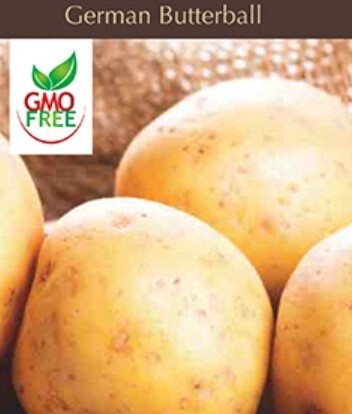 Potato German Butterball 1#