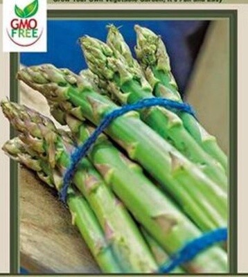 Asparagus Jersey Knight 10 pk