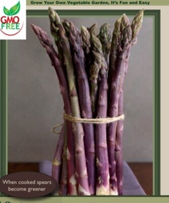 Asparagus Sweet Purple 10pk