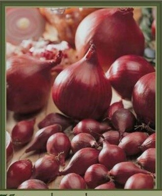 Red Dutch Onions 75 bag