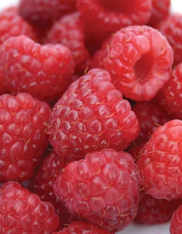 Raspberry Heritage 1 gal