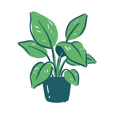 Houseplants &amp; Succulents