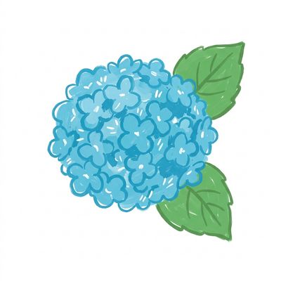 Hydrangeas