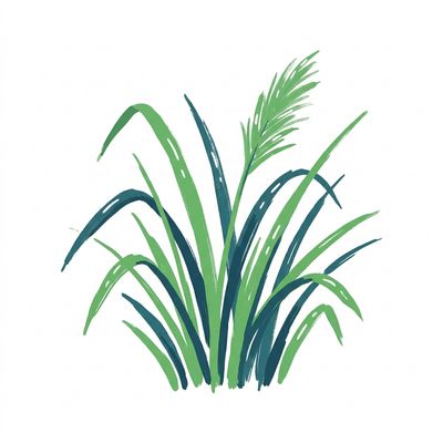Ornamental Grasses