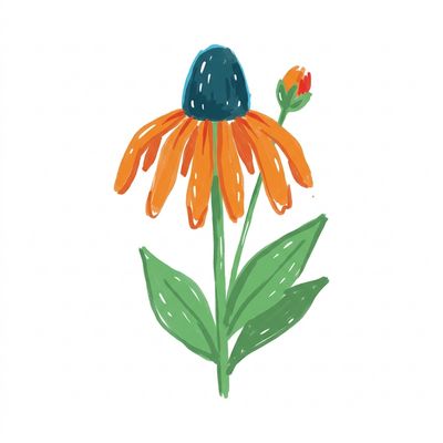 Perennials and Flowers