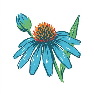 Echinacea