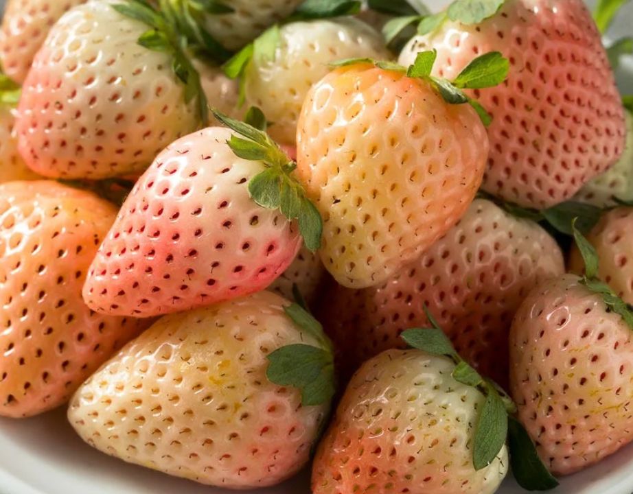 Strawberry Flamingo 4"