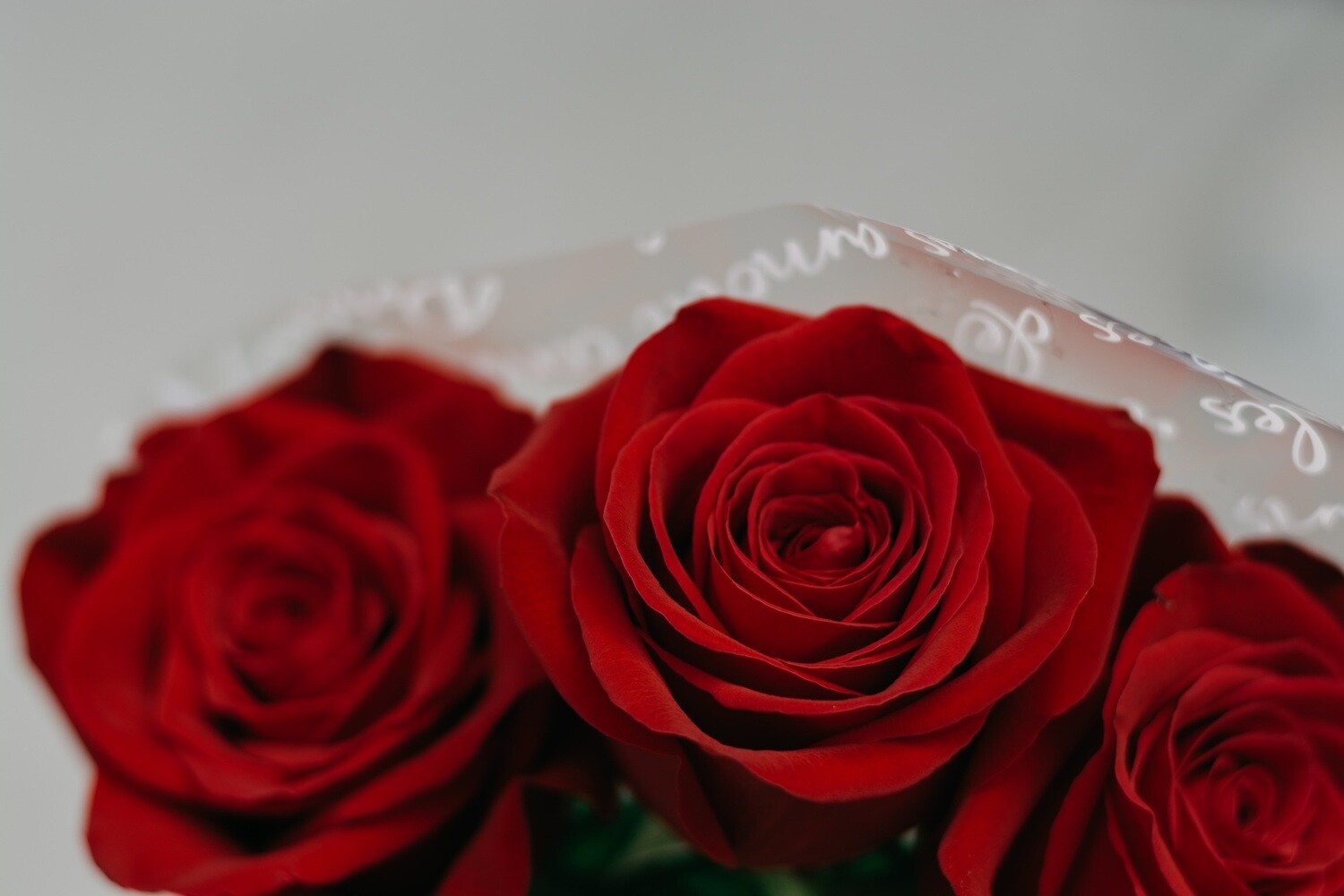 2 Dozen Roses Arrangement