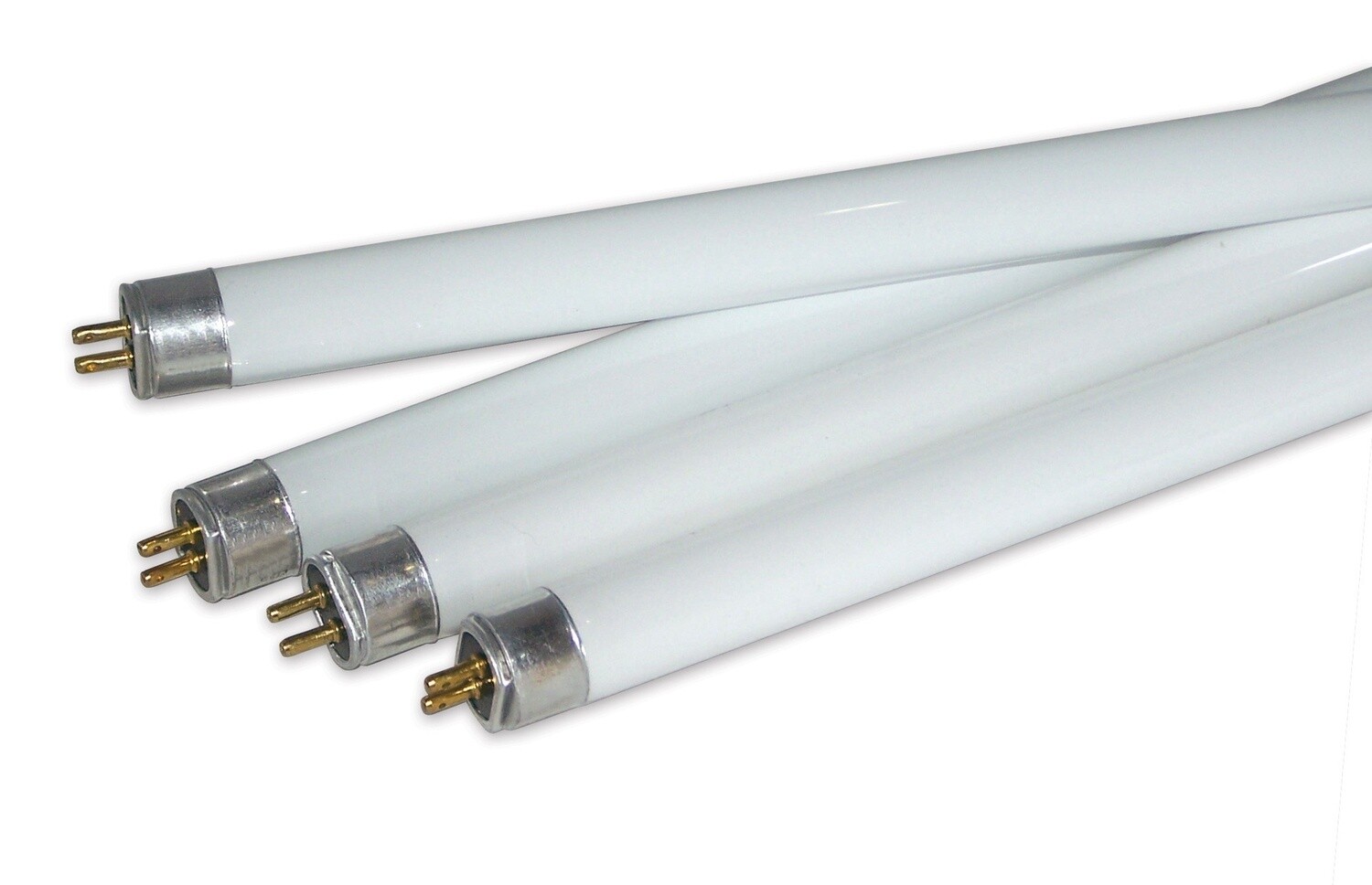 AgroBrite T5 HO Fluorescent Bulb (Replacement), Length: 2&#39;