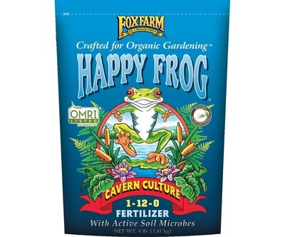 Happy Frog Cavern Culture