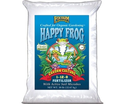 Happy Frog Cavern Culture